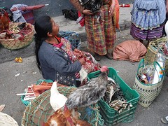 Chichi market