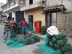 Avocado's!!!! A lot of avocado's <3