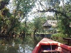 Taking the boar to pur jungle lodge in Rio Dulce
