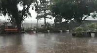 Vietnamese regen🙄