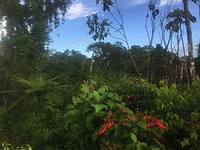 IMG_1708