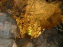 13. Stalagmieten en tieten grot