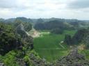 9. Enorm groen allemaal