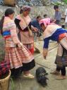 27. Bac Ha varkentjes markt