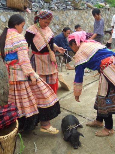 27. Bac Ha varkentjes markt