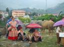 26. Bac Ha buffelo markt
