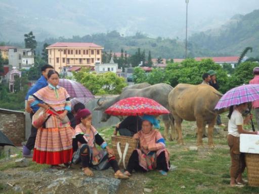 26. Bac Ha buffelo markt
