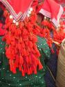 20. Red Zao