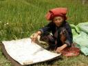 16. Vietnamees vrouwtje