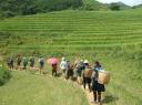 10. Lopend tussen de rice paddies