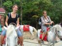 14. Terug ter paard met schattige dekentjes