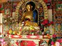 6. Met de enorm gouden Boeddha's