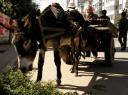 2. Straatbeeld Hohhot
