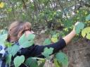 23. Bloemetjes plukken om thee te maken