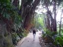 12. Wandeling Victoria Peak