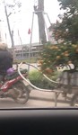 9505DB6D-B5FC-4628-AEE5-974A08B36057