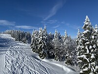 04749727-B7CB-4DFB-817E-14C2AA517B89
