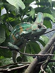 IMG_9848