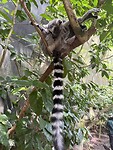 IMG_9864