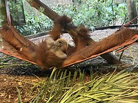 IMG_9852