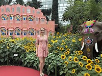 IMG_9751