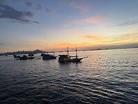 IMG_9896
