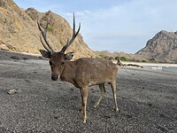 IMG_9994