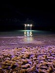 IMG_0292