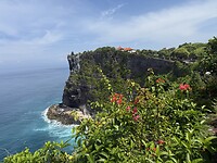 IMG_0508