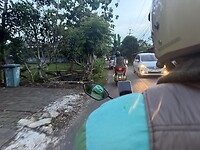 IMG_0548