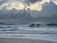 IMG_0544