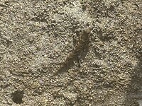 IMG_0589