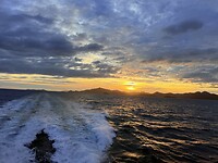 IMG_0860