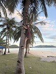 IMG_0921