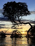 IMG_0931