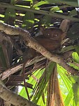 IMG_1266