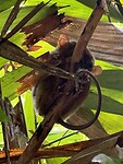 IMG_1264