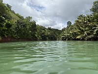IMG_1275