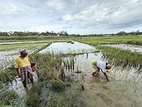 IMG_1622