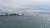 Dolfijn | Eivissa