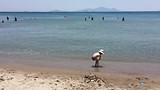 Paradise Beach | Kos