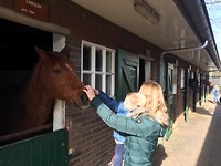 Stichting De Paardenkamp | Soest