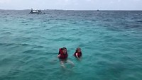 Turtle Reef