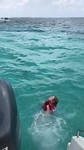 Turtle Reef