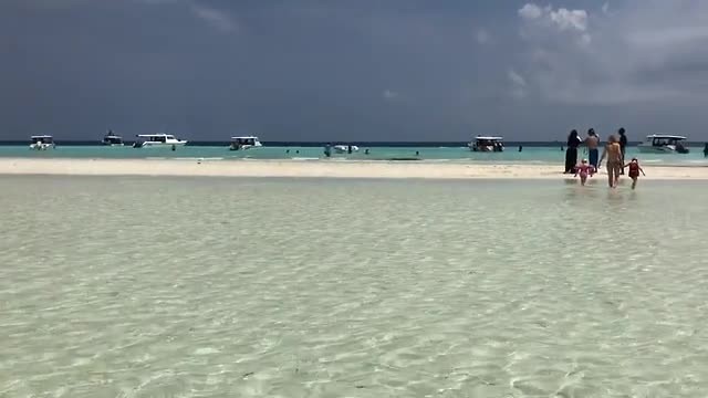 Cocoa Island