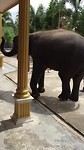 Hutsadin Elephant Foundation | Hua Hin