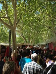 Carpentras