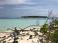 Dhiffushi