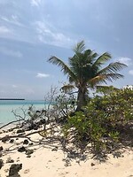 Dhiffushi