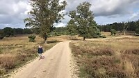 Loenermark | Loenen